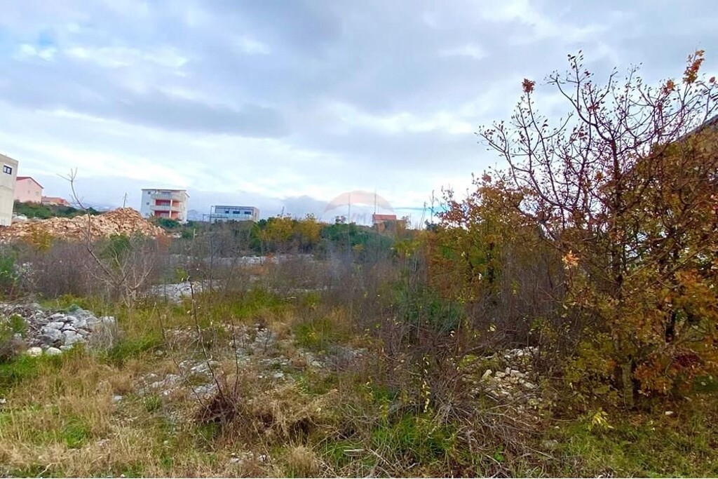 Image 6233605 - 6
