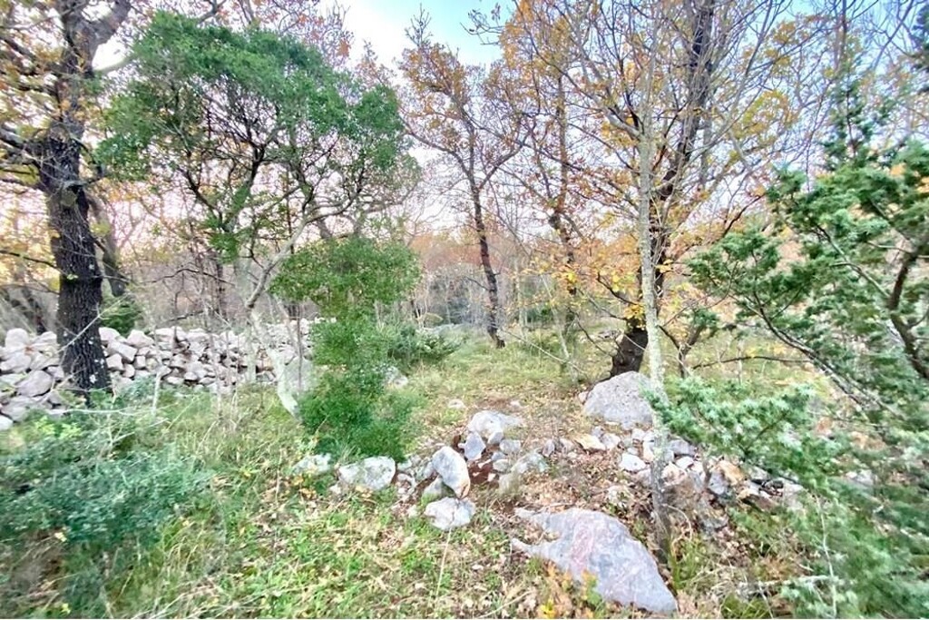 Image 6233616 - 3