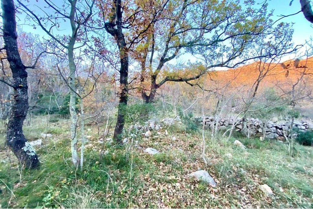 Image 6233616 - 5