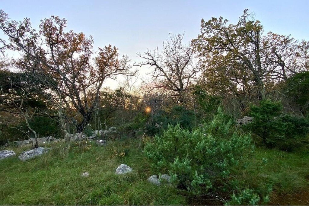 Image 6233616 - 6