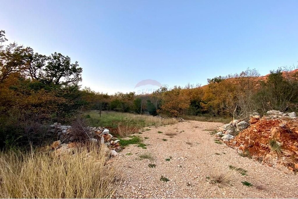 Image 6233616 - 2