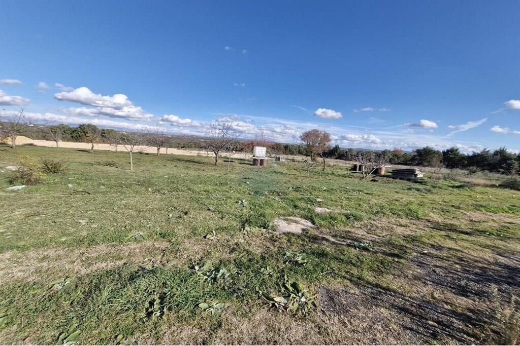 Image 6233617 - 1