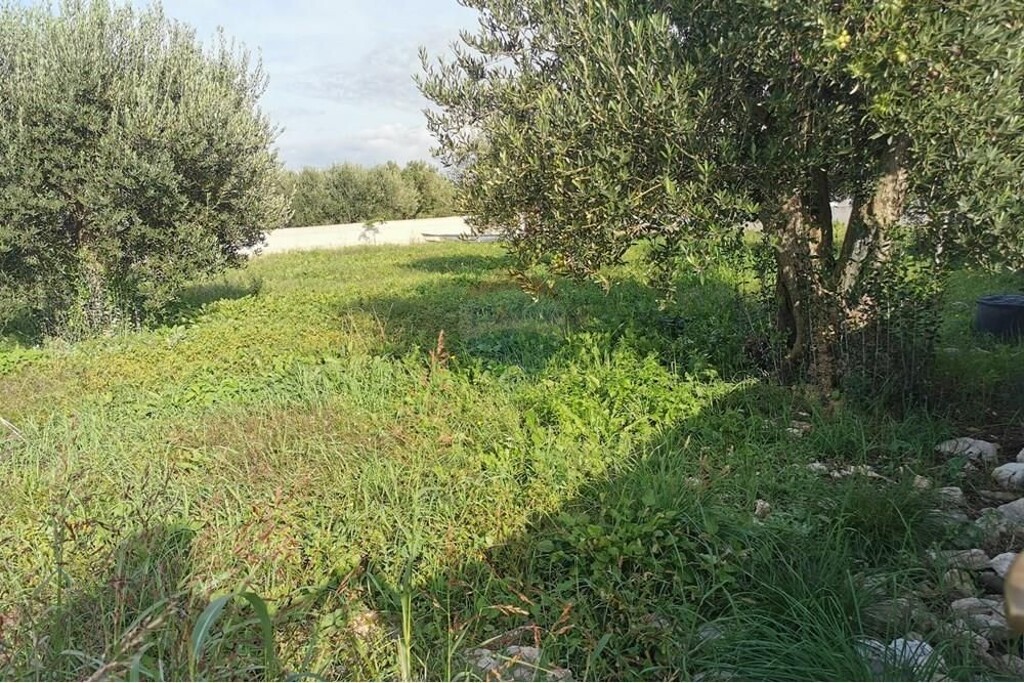 Image 6233663 - 4