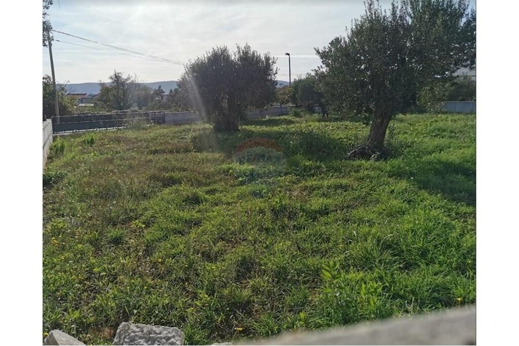 Image 6233663 - 1