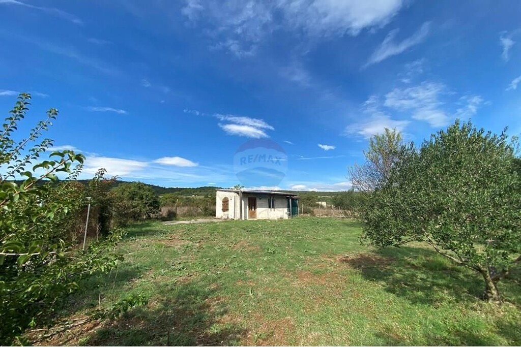 Image 6233684 - 1
