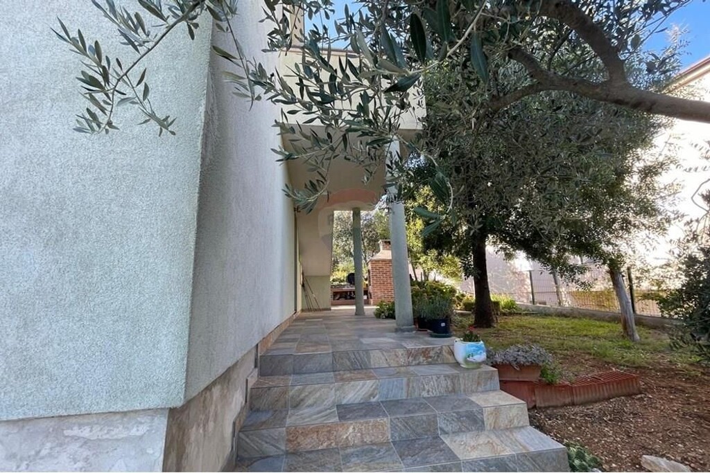 Image 6233694 - 3