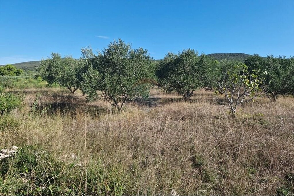Image 6233700 - 2