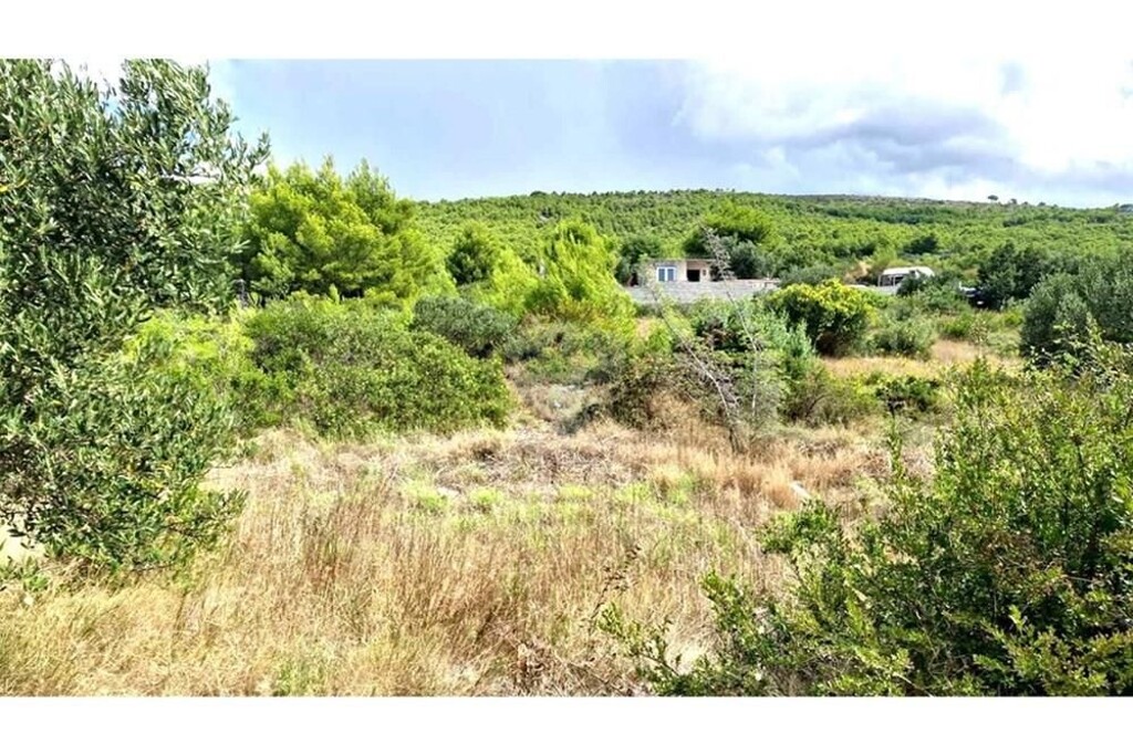 Image 6233717 - 2