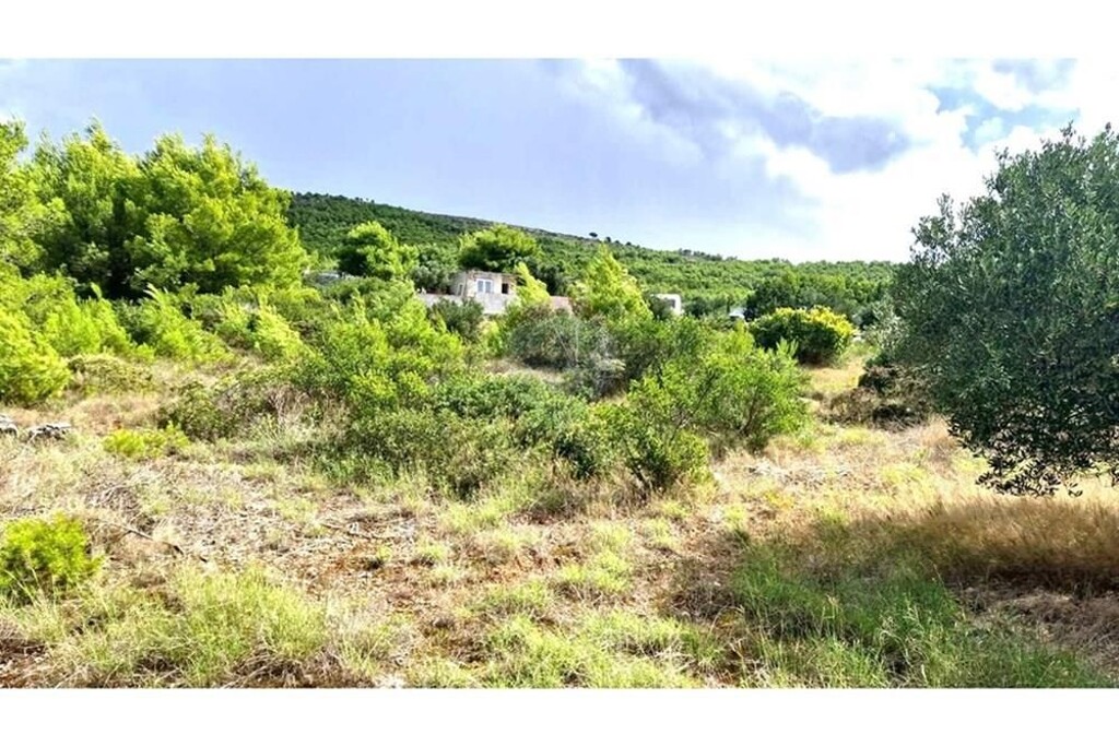 Image 6233717 - 9