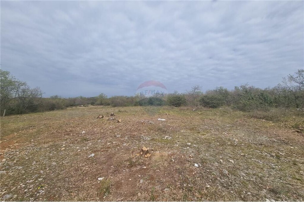 Image 6233752 - 3