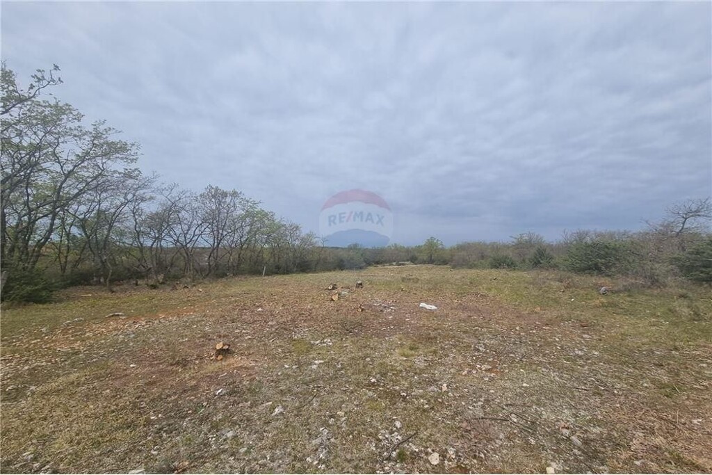 Image 6233752 - 4