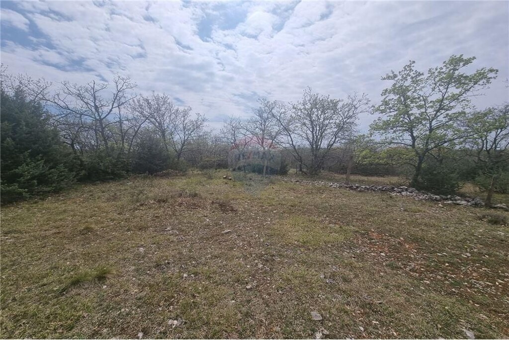 Image 6233755 - 4