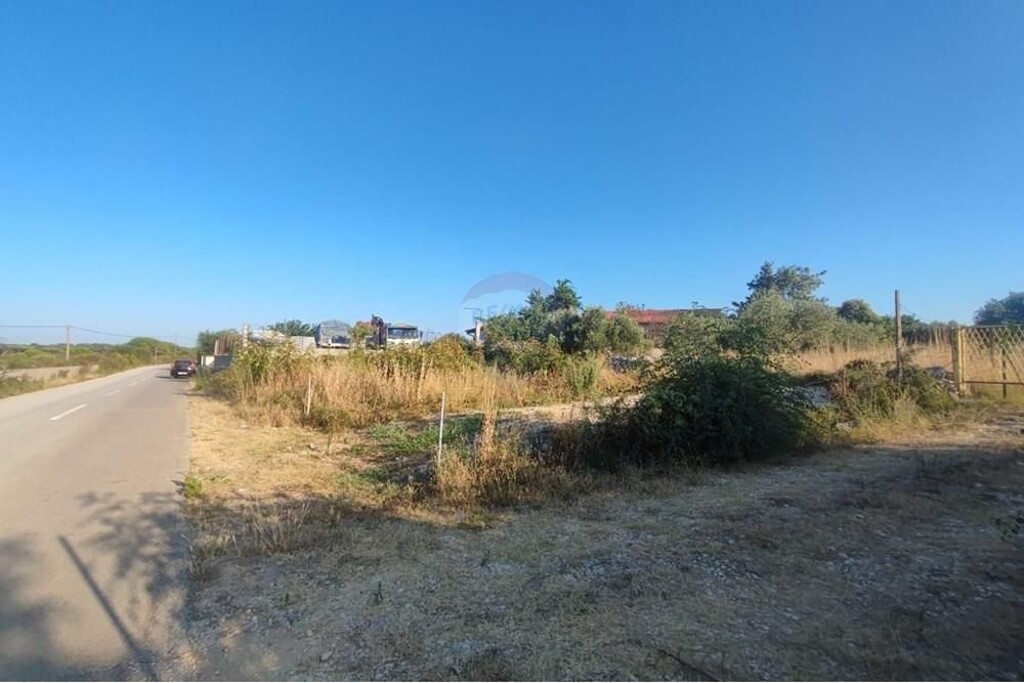 Image 6233772 - 3