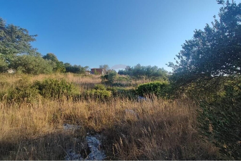 Image 6233772 - 11