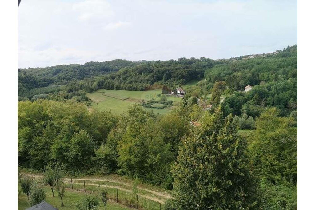 Image 6233806 - 17