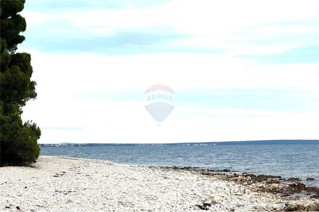 Image 6233849 - 12