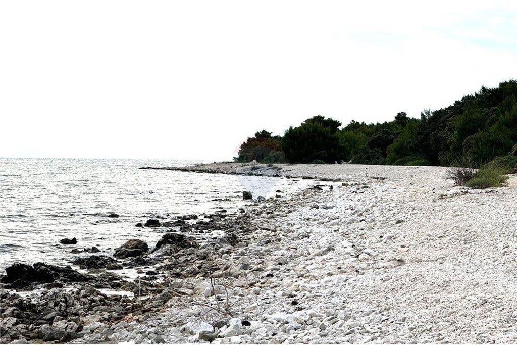 Image 6233850 - 11