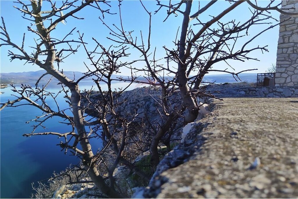 Image 6234111 - 5