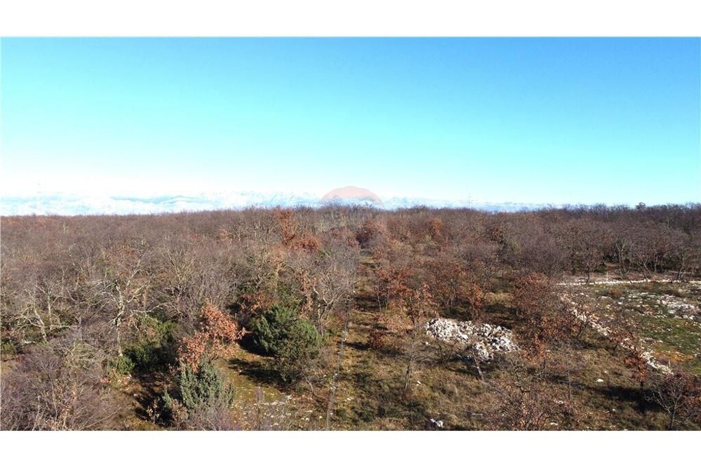 Image 6234118 - 4