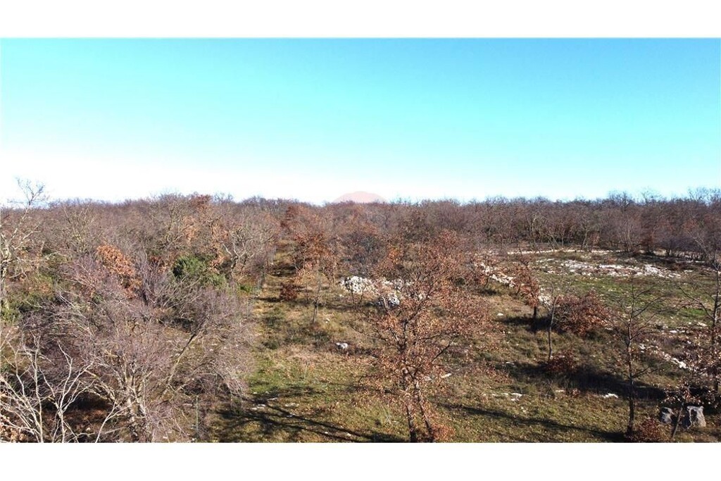 Image 6234118 - 3
