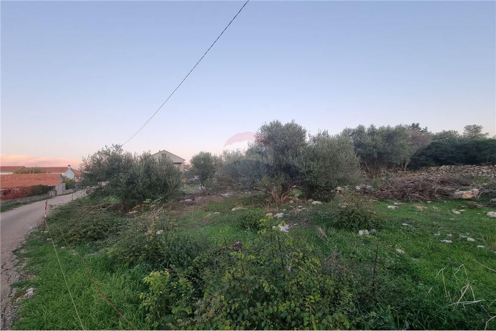 Image 6234182 - 12