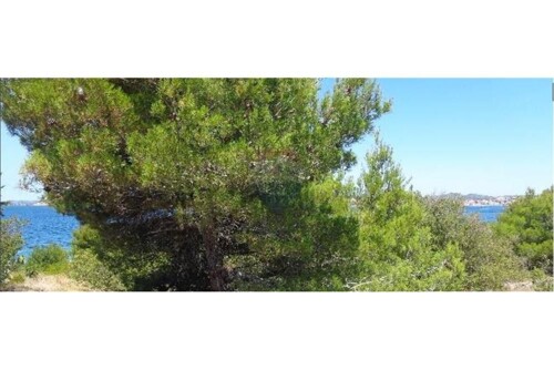 Thumbnail 6234239 - 6