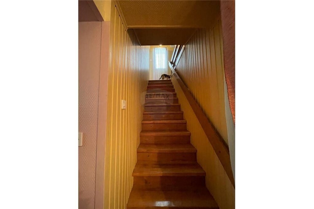 Image 6234260 - 24