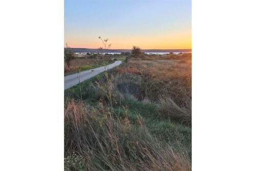 Thumbnail 6234312 - 3