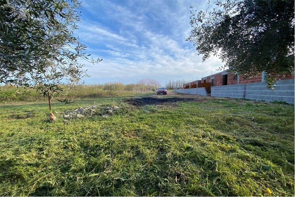 Image 6234317 - 3