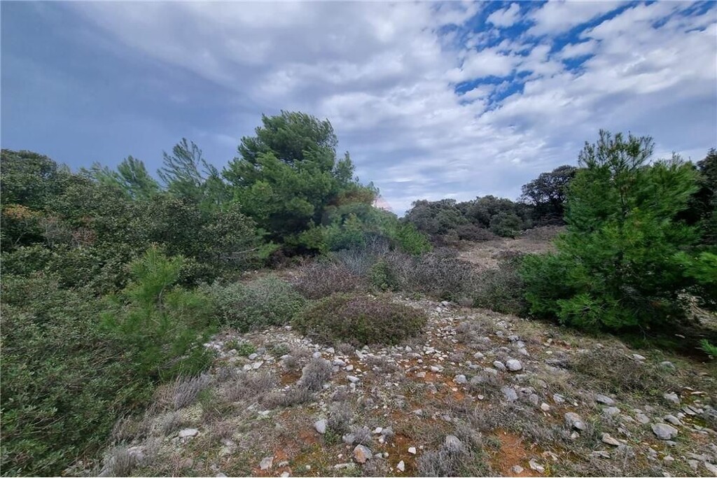 Image 6234336 - 7