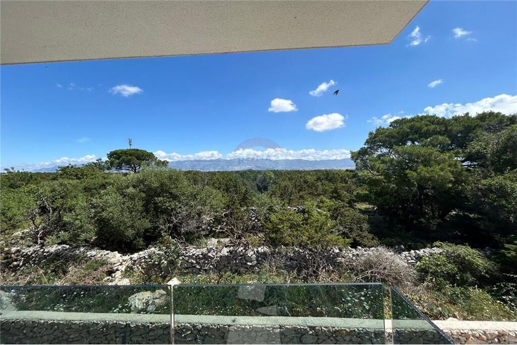 Image 6234351 - 12
