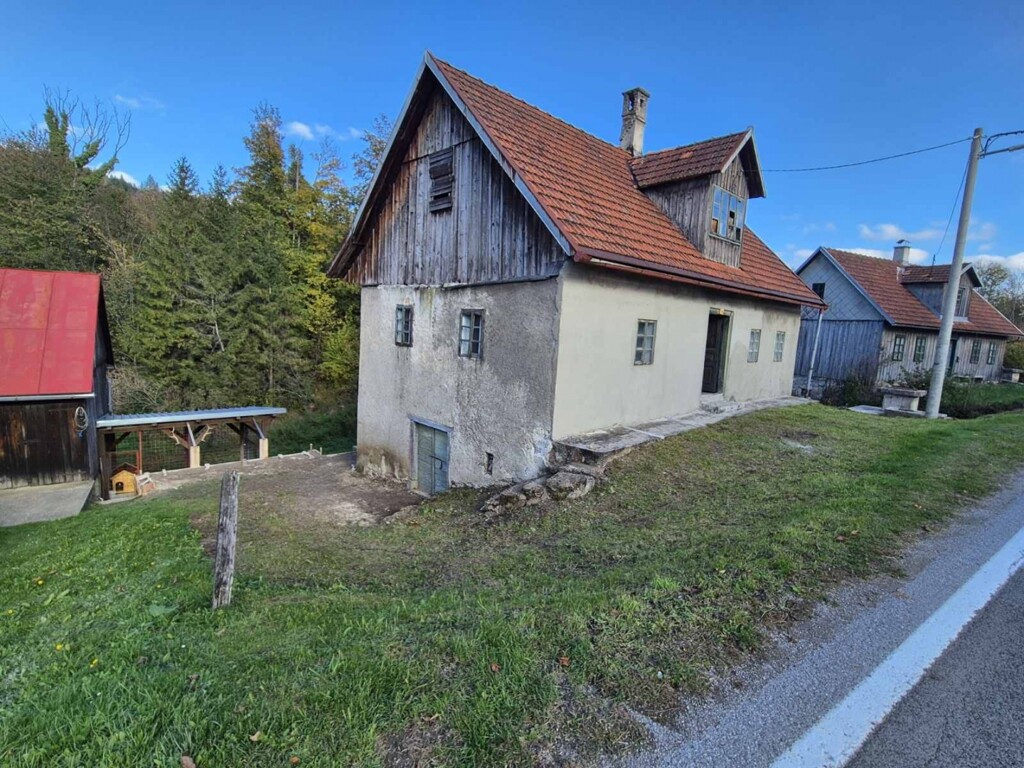 Image 6234529 - 1