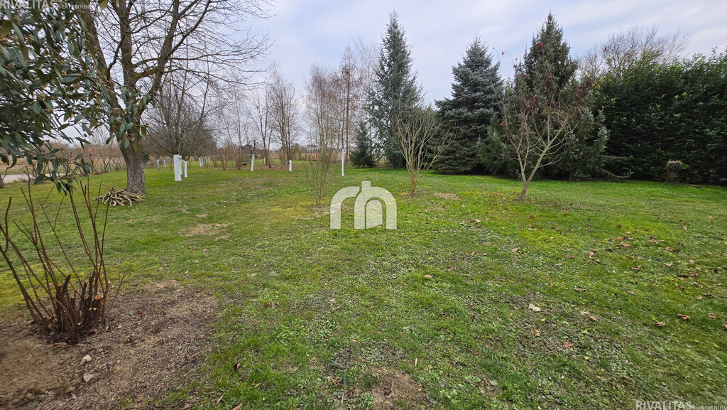 Image 6234531 - 22