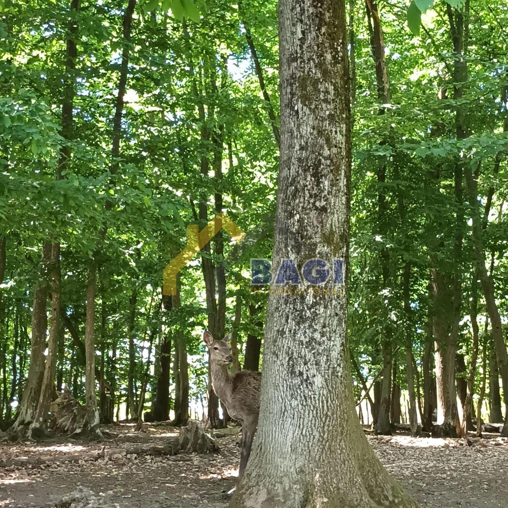 Image 6234543 - 8