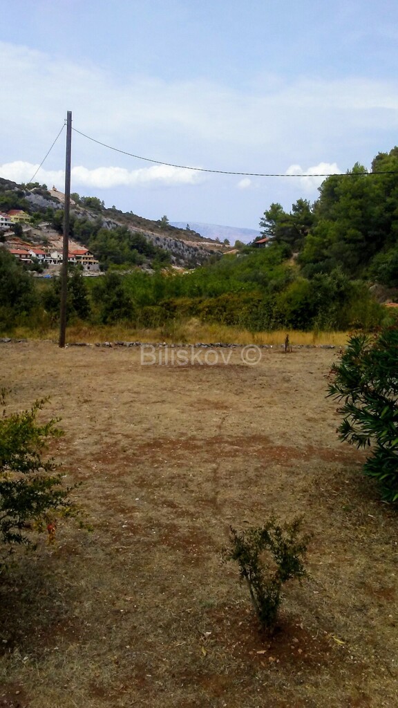 Image 6234585 - 2