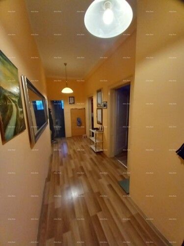 Thumbnail 6234661 - 4