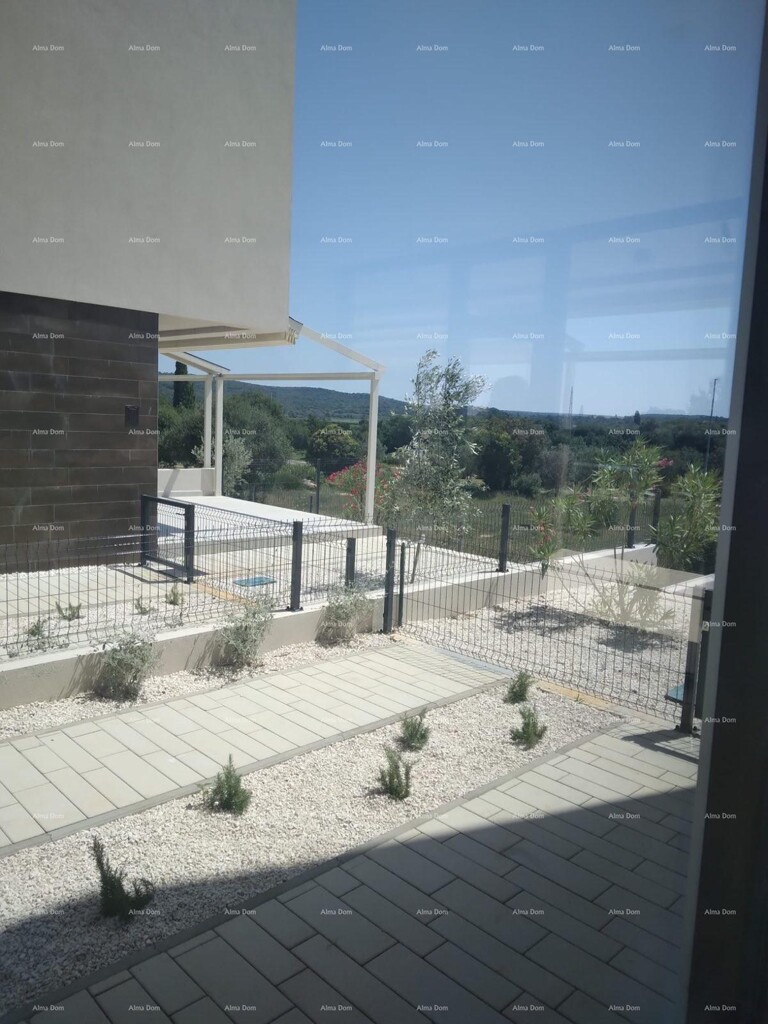 Image 6234666 - 12