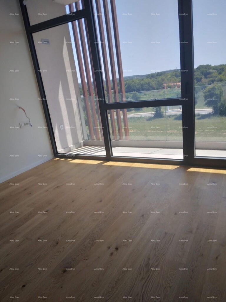 Image 6234666 - 20