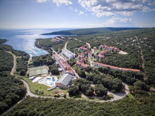 Thumbnail 6234693 - 1