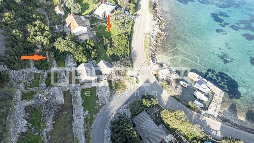 Image 6234698 - 2