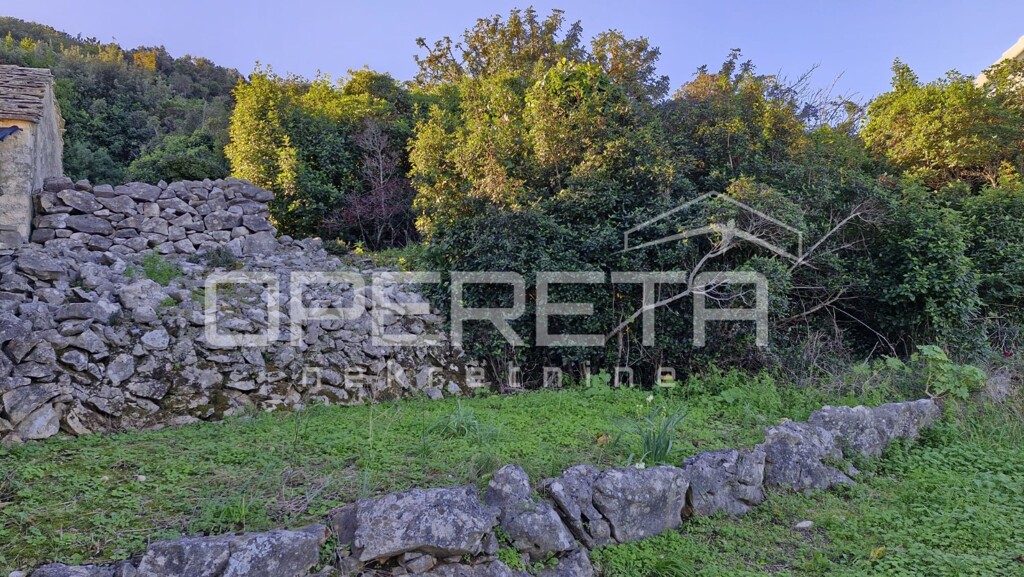 Image 6234698 - 15