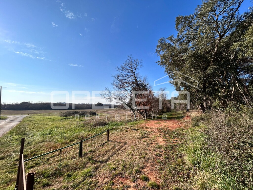 Image 6234701 - 4