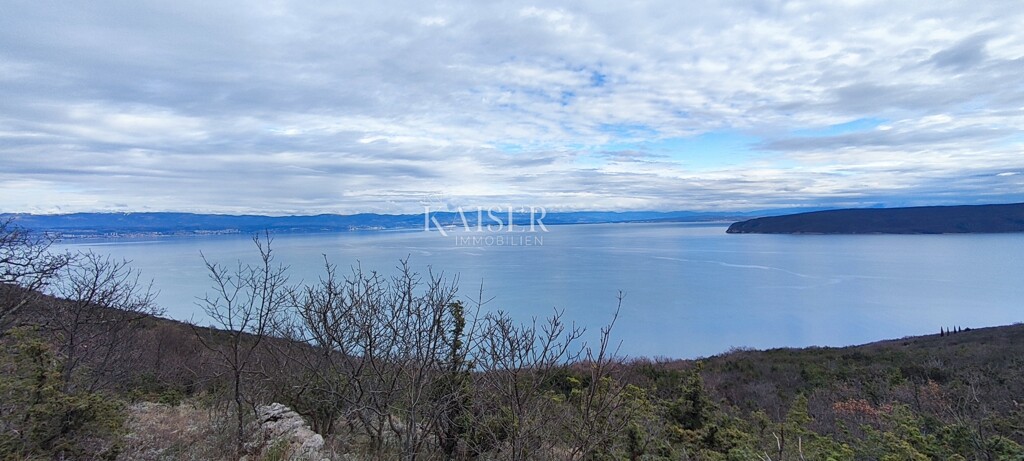 Image 6234742 - 2