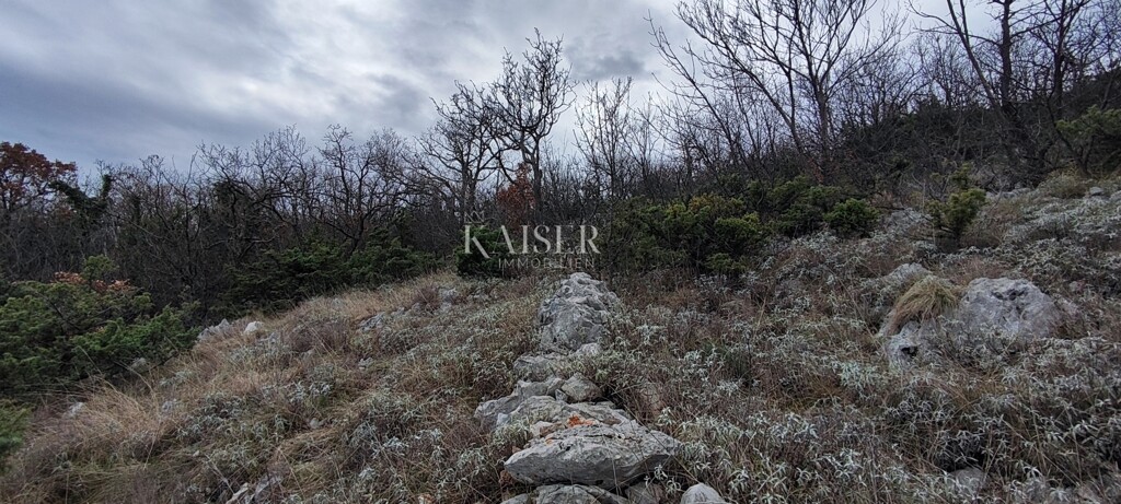 Image 6234742 - 6