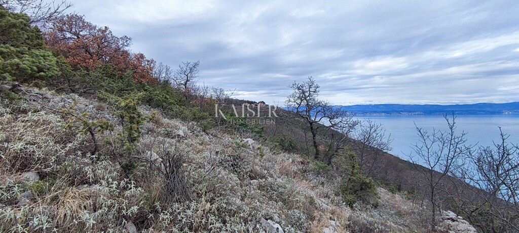 Image 6234742 - 7