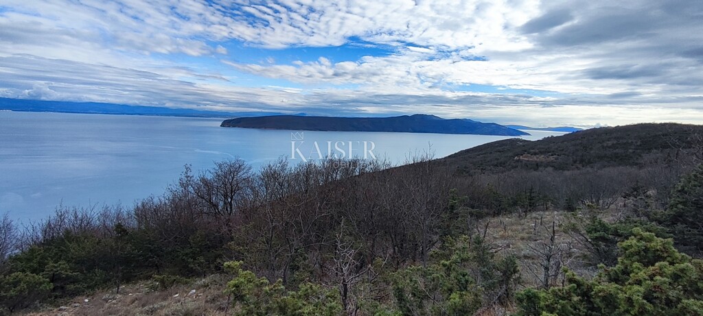 Image 6234742 - 1