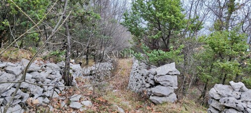 Thumbnail 6234742 - 5
