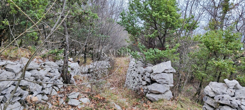 Image 6234742 - 5
