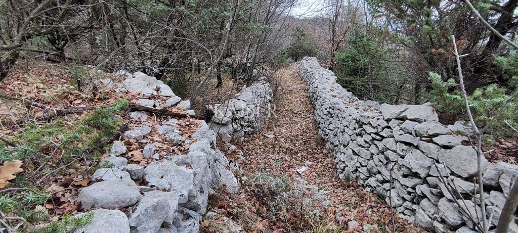 Image 6234742 - 3