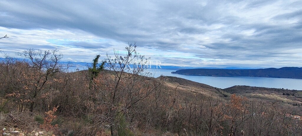 Image 6234745 - 5
